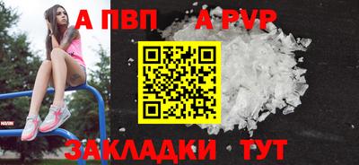 стаф Тверь