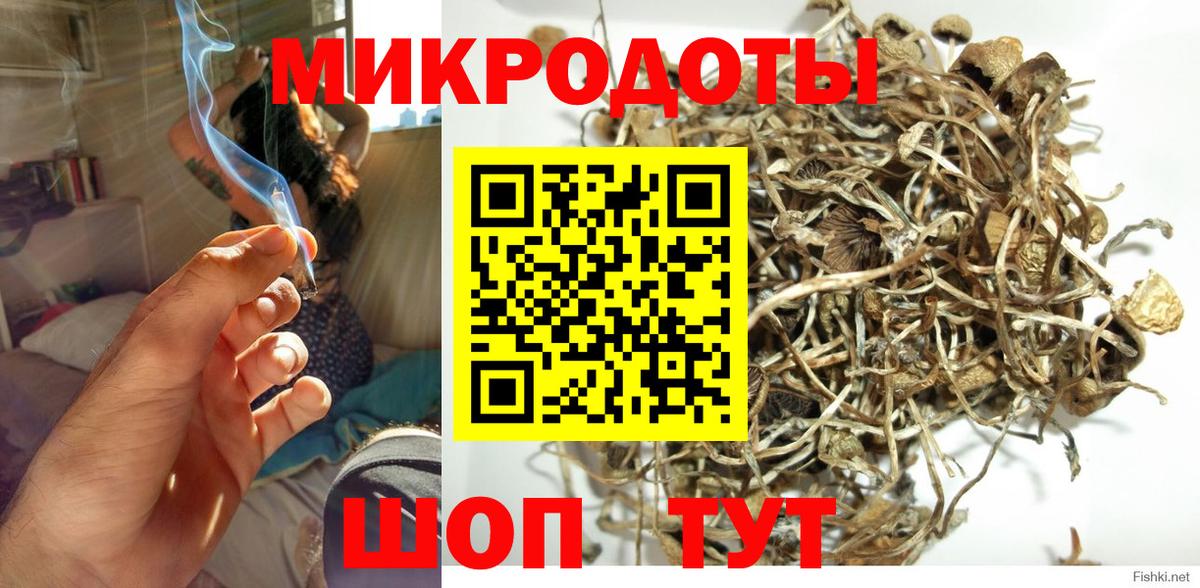 где можно купить наркотик  Вход с VPN  Новоалтайск  Галлюциногенные грибы Cubensis 