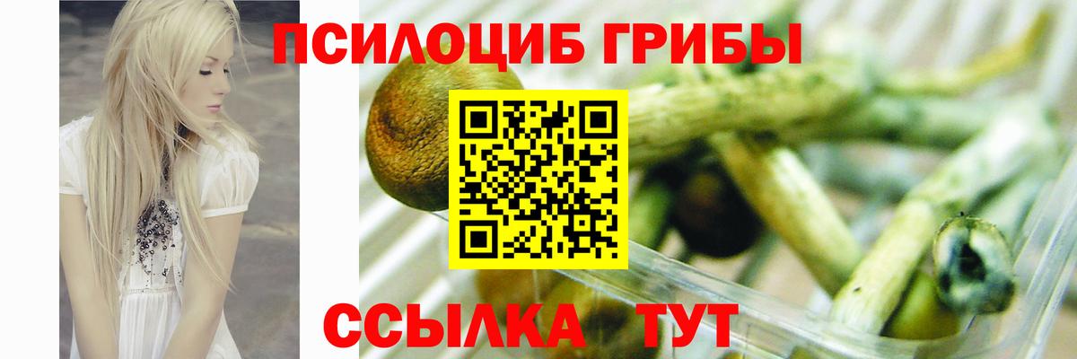 Галлюциногенные грибы MAGIC MUSHROOMS Новоалтайск